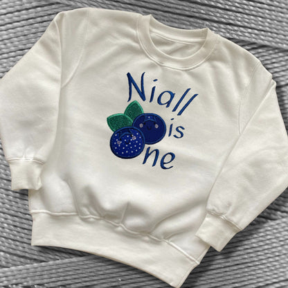 Personalised Embroidered 1st Birthday Romper or Top. Cute Blueberry Design Personalised with Name. Perfect for Celebrations