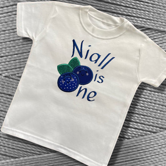 Personalised Embroidered 1st Birthday Romper or Top. Cute Blueberry Design Personalised with Name. Perfect for Celebrations
